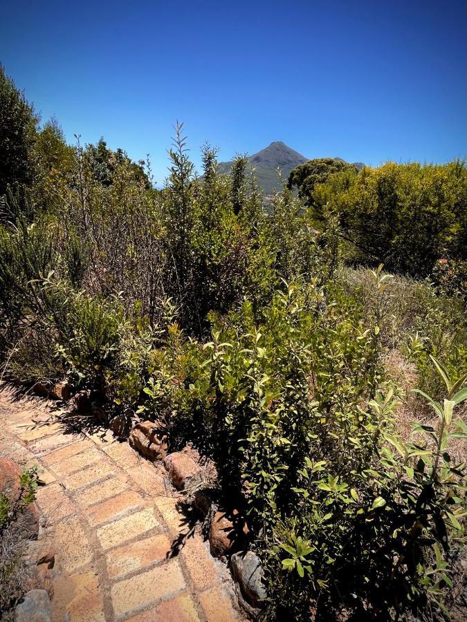 Windrose, Noordhoek, Sensationeller Meerblick Kapstadt Exterior foto
