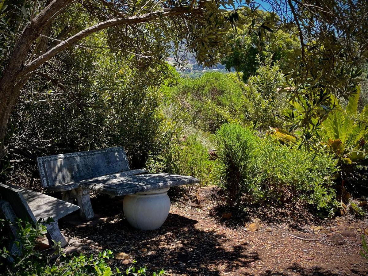 Windrose, Noordhoek, Sensationeller Meerblick Kapstadt Exterior foto
